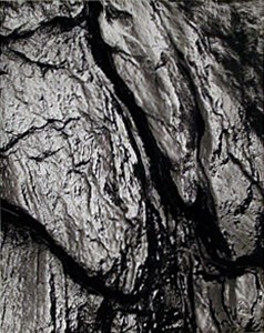 Image description is not available for 1987.002